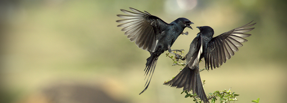 隐私保护到位的ddos在线攻击平台